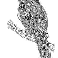 Color Calm Coloring Book - Take Along Calming Adult Coloring