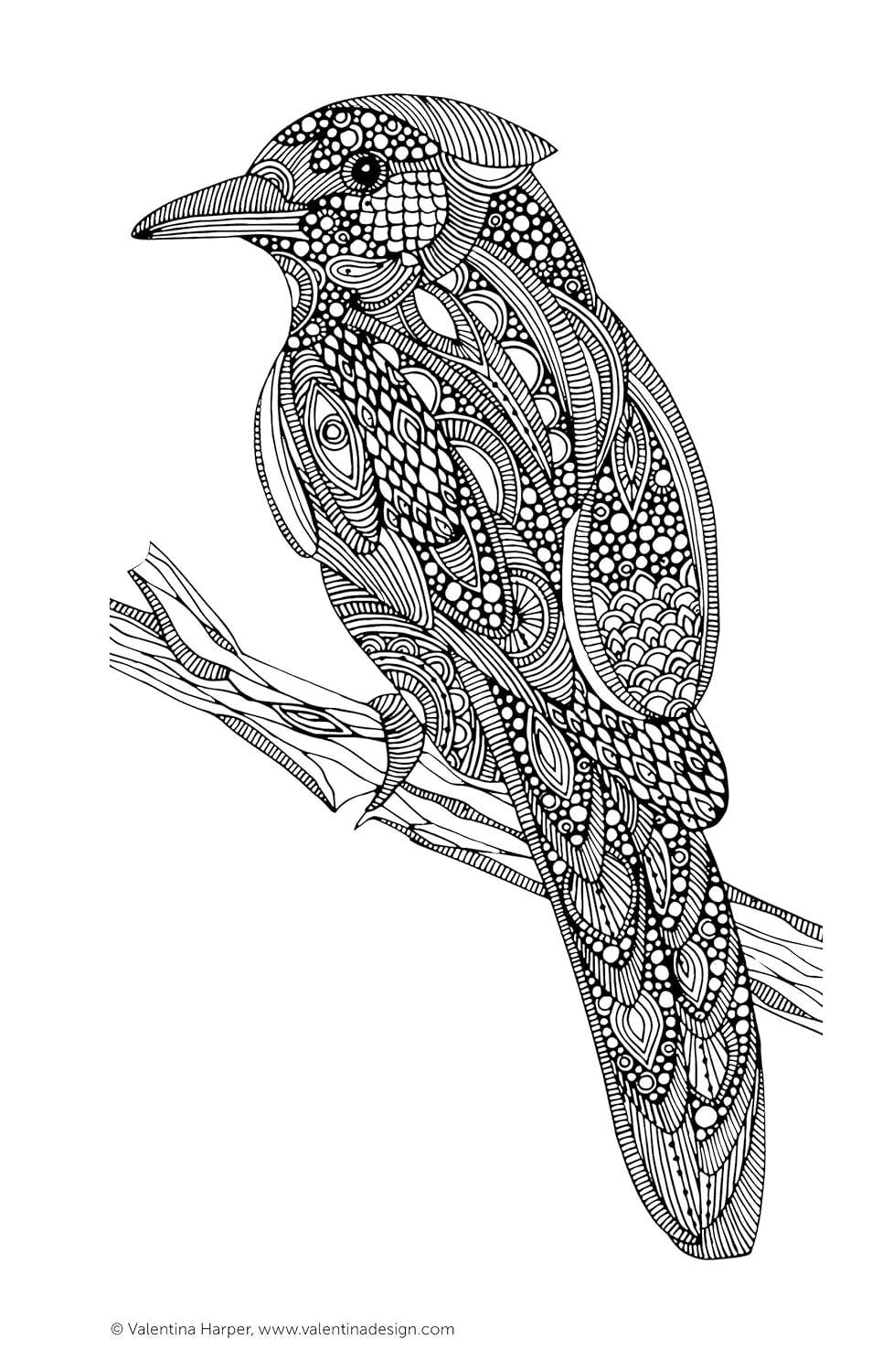 Color Calm Coloring Book - Take Along Calming Adult Coloring