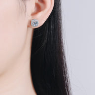 5a6945a709ba4dbca84d114c868fc741-Max